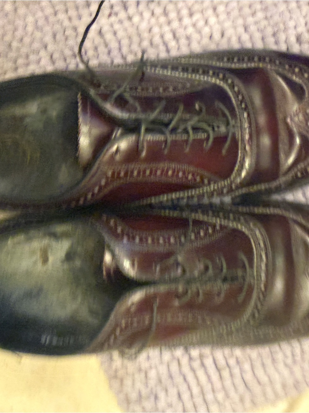 Florsheim-Classic Men's Lace-Up Wingtip Oxford in Dark Brown size 12